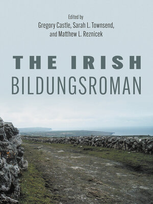 cover image of The Irish Bildungsroman